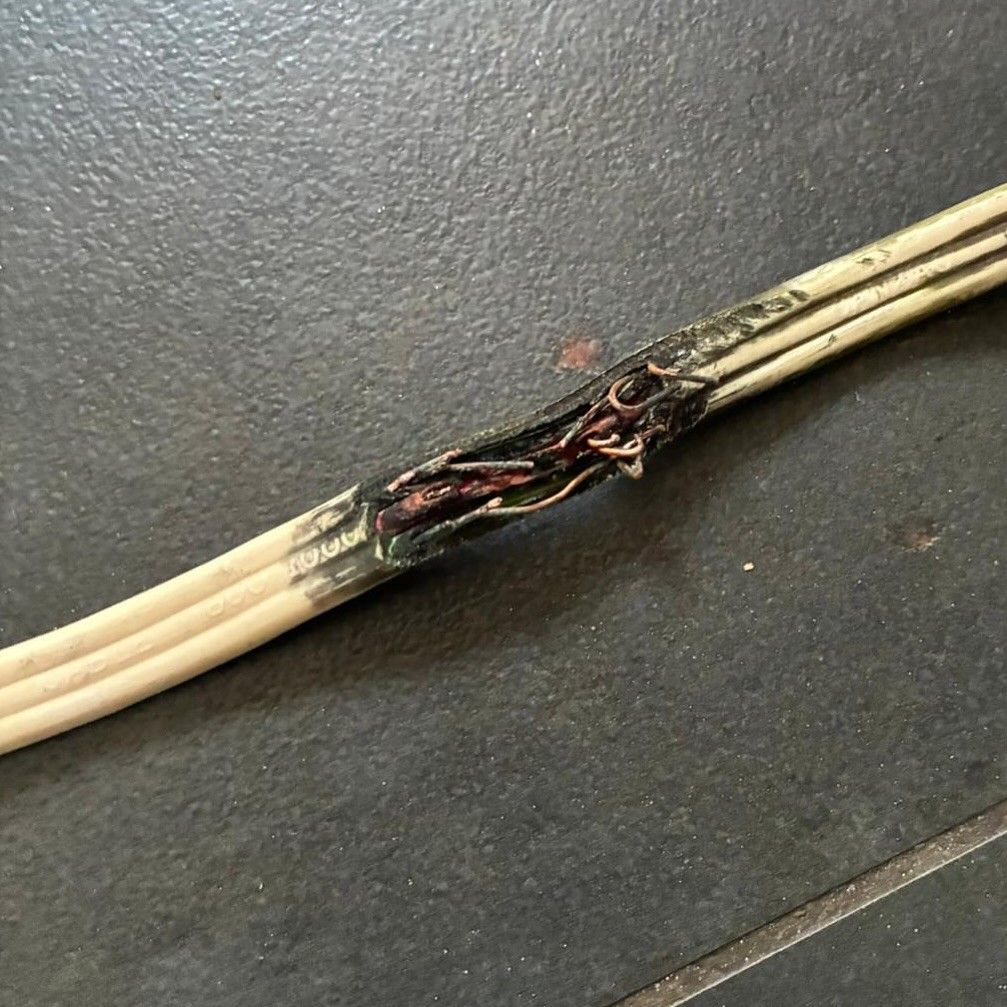 exposed wiring from overheating due to old cabling in a christchurch residential property